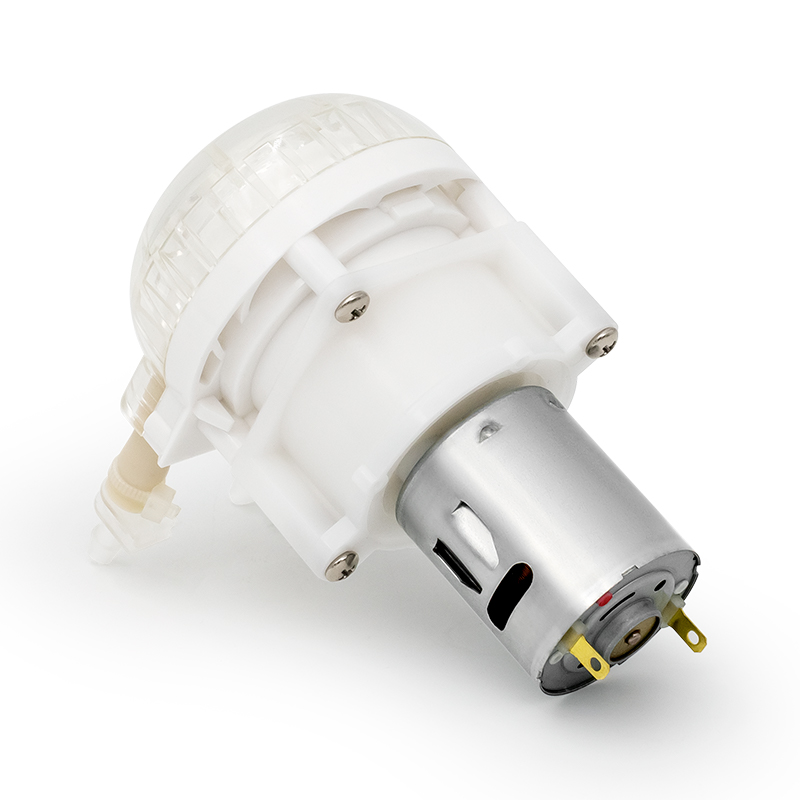 I-DC Motor Peristaltic Pump LFP202 / DB (Ibanga le-Flow: 10-110ml / min)