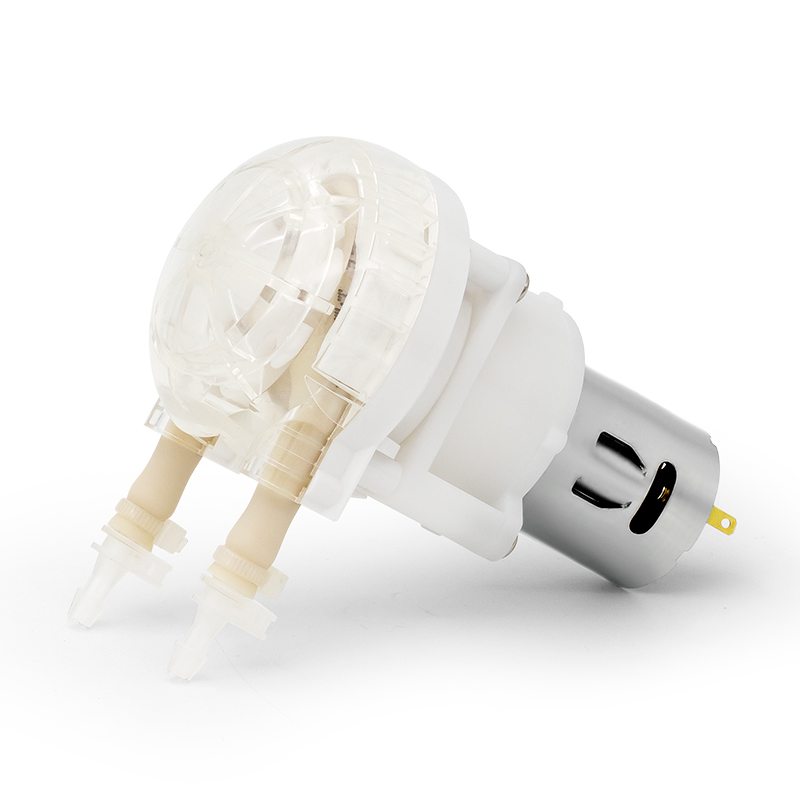 I-DC Motor Peristaltic Pump LFP202 / DB (Ibanga le-Flow: 10-110ml / min)