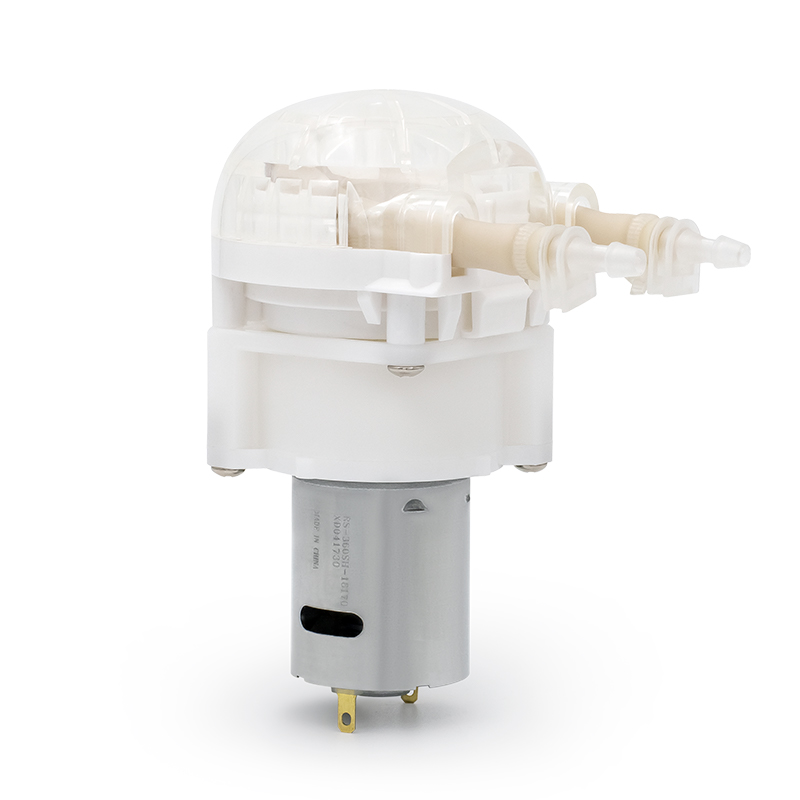 I-DC Motor Peristaltic Pump LFP202 / DB (Ibanga le-Flow: 10-110ml / min)