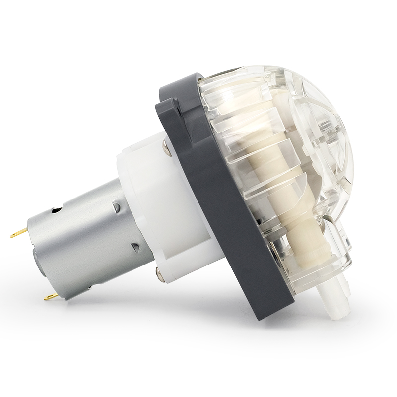 I-DC Motor Peristaltic Pump LFP303 / DB (Ibanga le-Flow: 35-280ml / min)