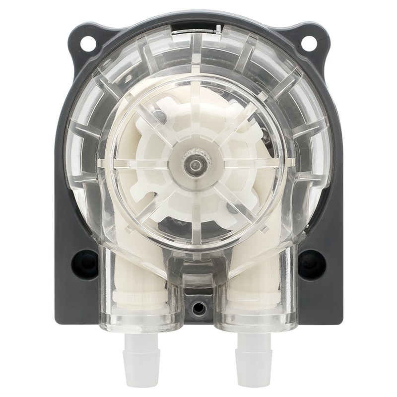 I-DC Motor Peristaltic Pump LFP303 / DB (Ibanga le-Flow: 35-280ml / min)