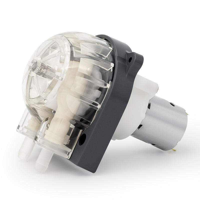 I-DC Motor Peristaltic Pump LFP303 / DB (Ibanga le-Flow: 35-280ml / min)