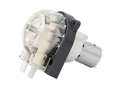 I-DC Motor Peristaltic Pump LFP303 / DB (Ibanga le-Flow: 35-280ml / min)