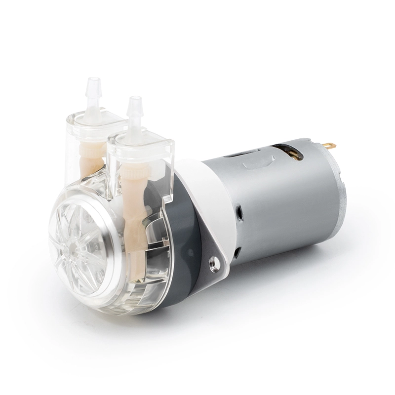 I-DC Motor Peristaltic Pump LFP102 / DB (Ibanga le-Flow: 9-110ml / min)