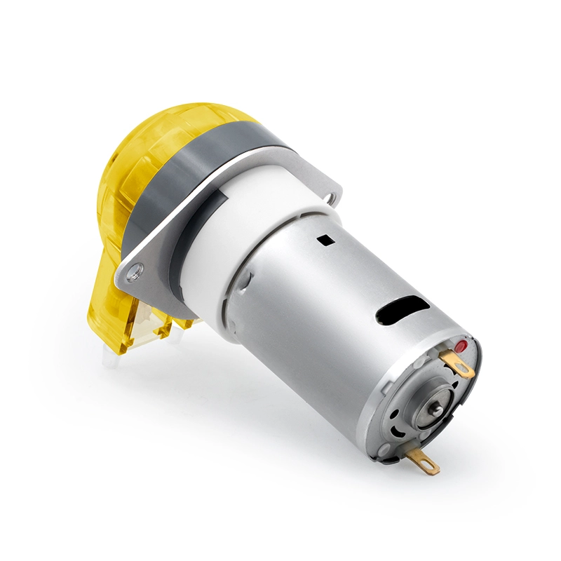 I-DC Motor Peristaltic Pump LFP102 / DB (Ibanga le-Flow: 9-110ml / min)