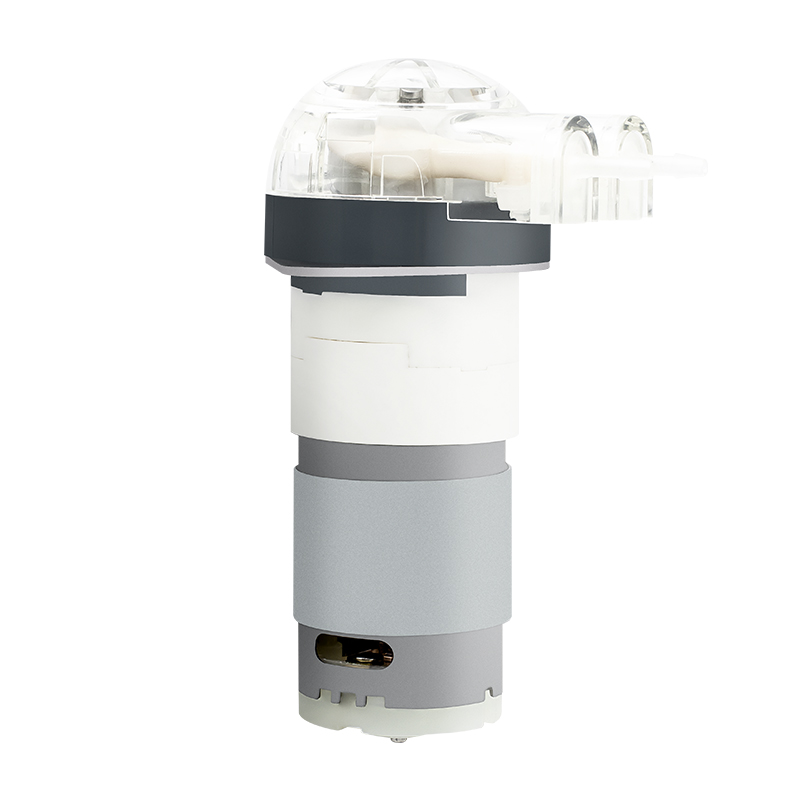 I-DC Motor Peristaltic Pump LFP102A / DB (Ibanga le-Flow: 0.5-15ml / min)