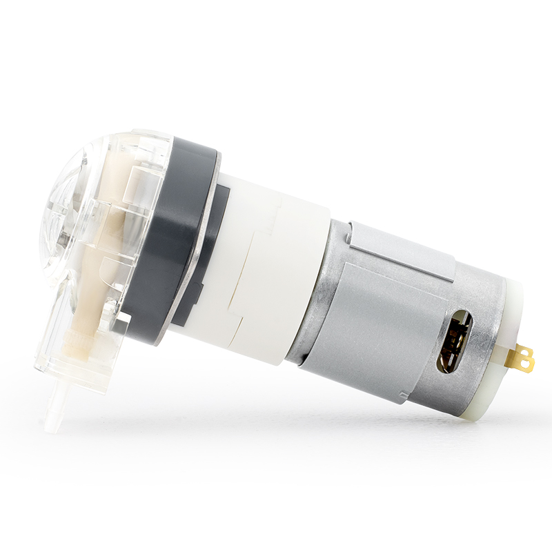 I-DC Motor Peristaltic Pump LFP102A / DB (Ibanga le-Flow: 0.5-15ml / min)