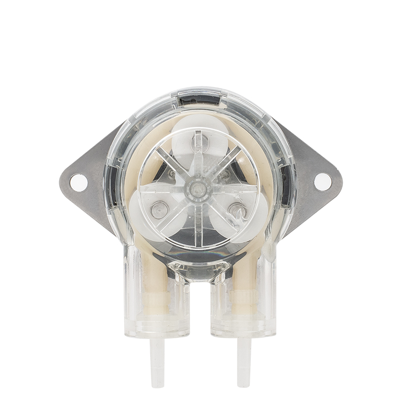 I-DC Motor Peristaltic Pump LFP102A / DB (Ibanga le-Flow: 0.5-15ml / min)