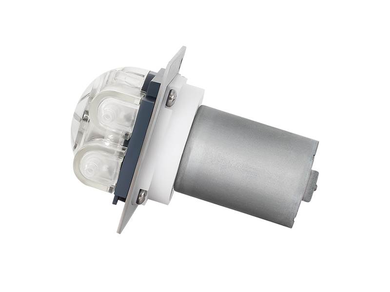 Iphampu Ye-Peristaltic ene-Brushless DC Motor LFP104/BL (Ububanzi bokugeleza: 2-270ml/min)